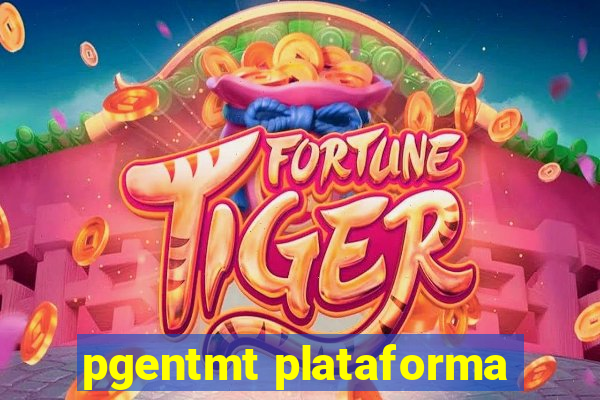 pgentmt plataforma